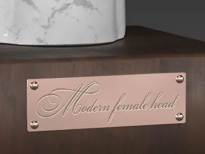 Modern female head sculpture 3D model