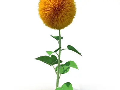 Sunflower 3D model