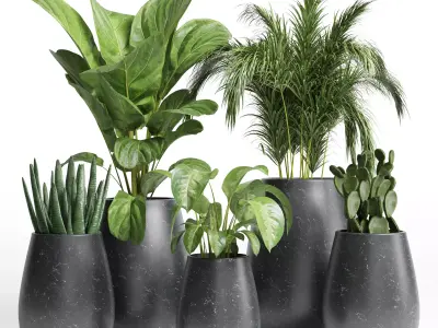 Indoor plant 23 Low-poly 3D model