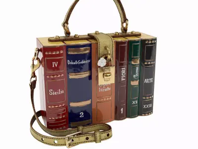 The Dolce Gabbana Encyclopaedia Box Bag 3D model