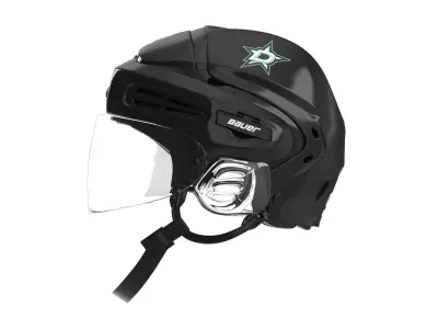 Hockey Helmet Dallas Stars 3D model