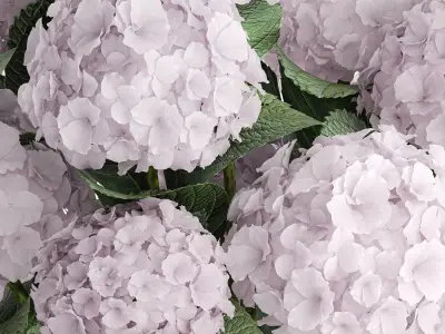 Modern Realistic Bouquet Vase  Lilac Pink Hydrange 613 3D model