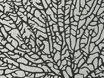 Natural Exotic Sea Fan 3D model