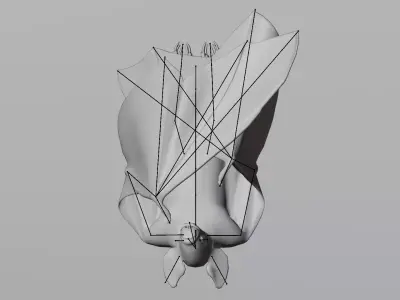 Vampire Bat in Hanging Pose - Rigged 3D model