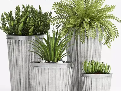 Decorative plant set-43 3D model