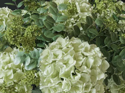 Flower Set 051 Green Hydrangea 3D model