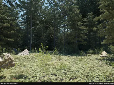 MAE Pine Forest - Unreal Engine Low-poly 3D model