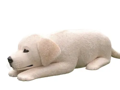 Golden Retriever puppies for kind designer hands 3D model
