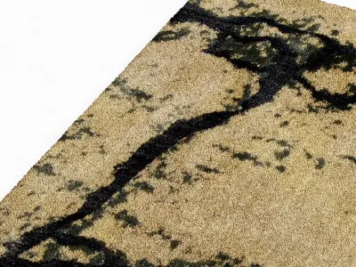 Brabbu GOBI RUG 3D model