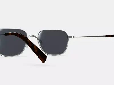 Healey Sunglasses in Polished Silver 3D model