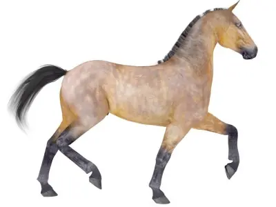 Horse Collection 01 3D model