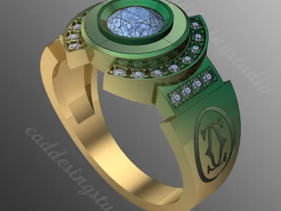 Ring bi133 3D print model