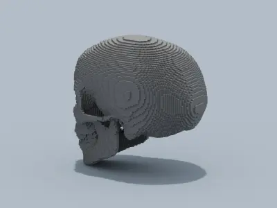 Voxel Skull 3D model