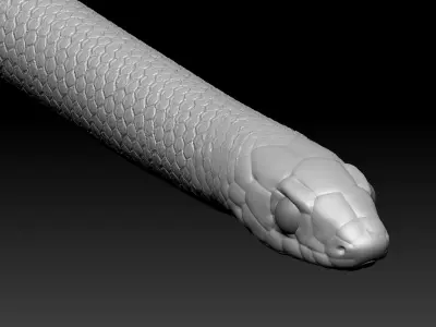 King Snake Zbrush Model 3D model