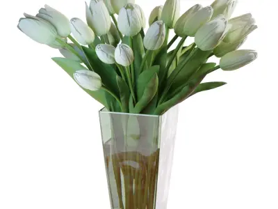 Flower Set 17 - White Tulips Bouquet 3D model