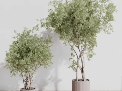 indoor plant set 408 plant tree palm bush concrete dirt vase Low-poly 3D model