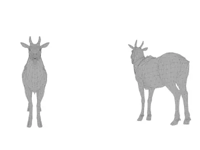 Realistic Deer 3D Model Pack 2 Game Ready Animals  C4D FBX OBJ   Low-poly 3D model