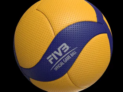 MikasaV300W 3D model