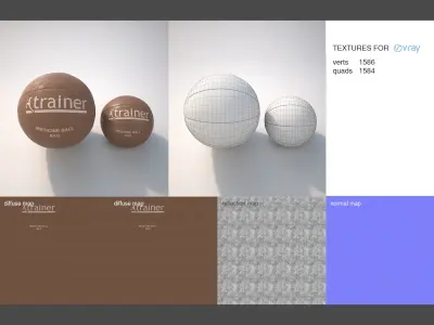 Medicine Balls 3D model