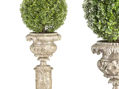 Outdoor Plant 06  Neoclassical Style 3D model