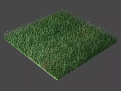 GRASS 3D MODEL Free 3D model