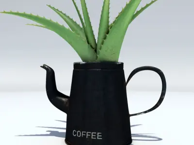 Coffeepot with Aloe Vera plant 3D model
