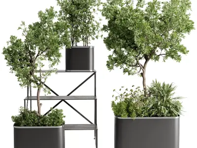 collection Indoor outdoor plant 692 plant stairs stand metal  3D model