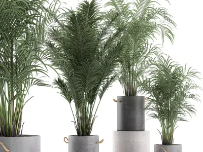 Decorative palm in a flowerpot 598 3D model