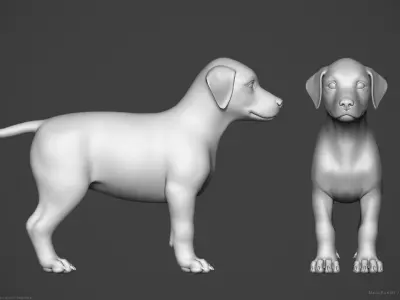Dog Puppy - Highpoly Sculpture 3D model