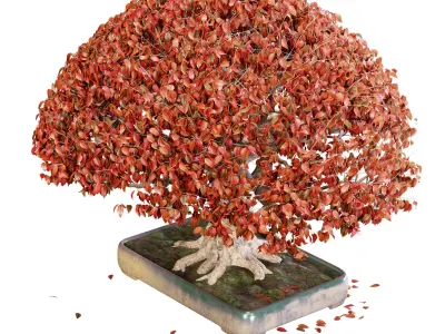 Bonsai 03 - PBR - Midpoly - HQ 3D model