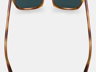 Alvin Sunglasses in English Oak Matte Low-poly 3D model