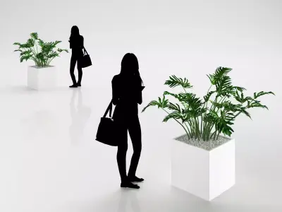 Young palm in modern pot 3D model