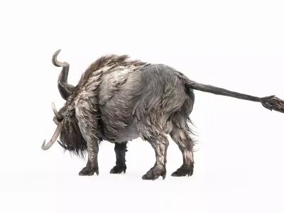 Wildlife Wild Boar King 3D model