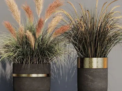 INDOOR PLANT SET 10 3D model