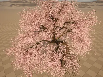 cherry tree Low-poly 3D model
