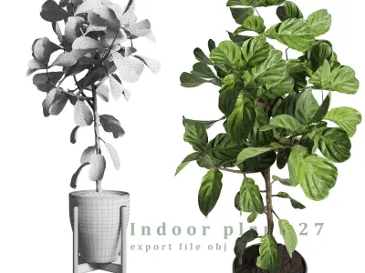 Indoor plant 27 Low-poly 3D model