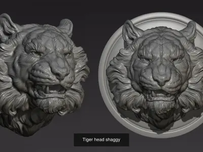 Tigers head collection