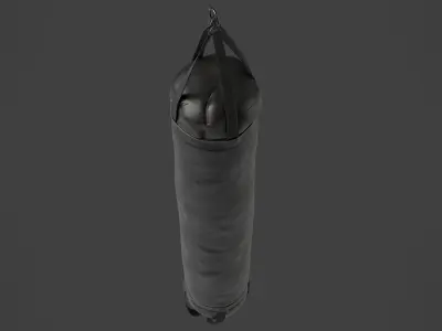 Punching Bag 4 3D model