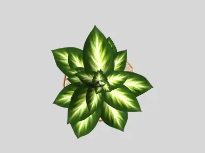 HOME DECOR Flower Basket Low-poly 3D model