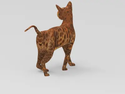 3d Cat Rigged model Low-poly 3D model
