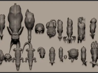 Animal Kingdom Wildlife set STL Files 3D Printable model 3D print model