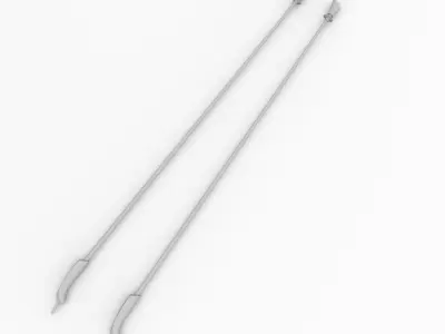 Walking Pole 3D model