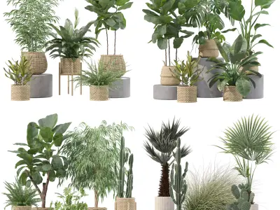 20 Photorealistic Flowers for Interiors - set 209 214 216 219 3D Model Collection