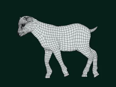 Kid Baby Goat Doeling Low-poly 3D model