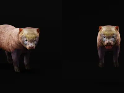 Bush Dog Low-poly 3D model