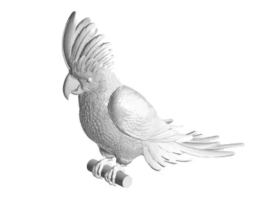 cockatoo 3D model
