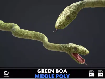 Green Boa Low-poly 3D model