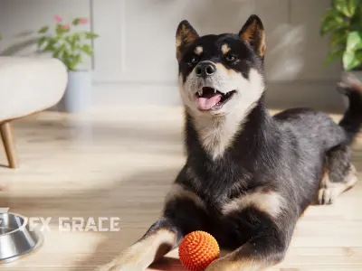 Four-Eyed Dog Animated VFX Grace 3D model