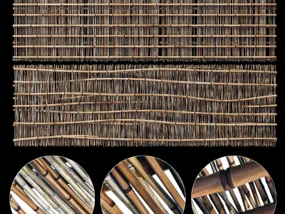 Branch bamboo long low n2 3D model