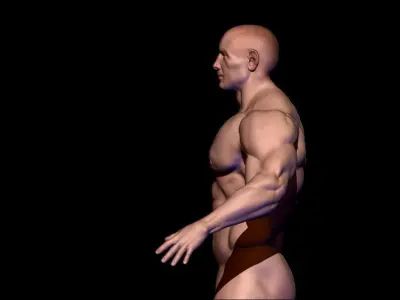 body builder base meash  Low-poly 3D model